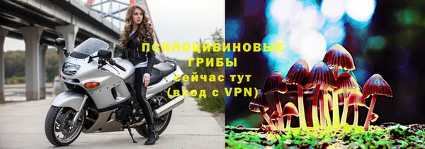 МДПВ Абаза