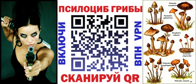 купить Богородицк Псилоцибиновые грибы MAGIC MUSHROOMS