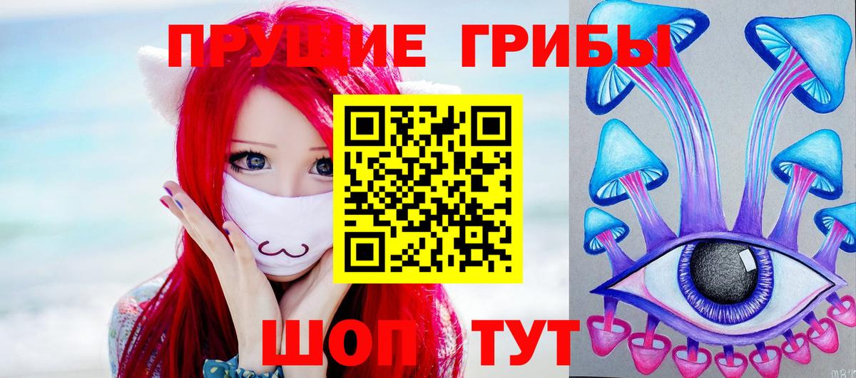 Галлюциногенные грибы Psilocybine cubensis Богородицк