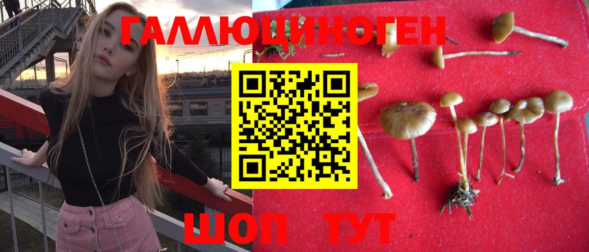 Псилоцибиновые грибы MAGIC MUSHROOMS  купить закладку  Богородицк  Вход с VPN  Псилоцибиновые грибы Psilocybine cubensis 