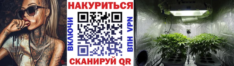 Каннабис план Богородицк